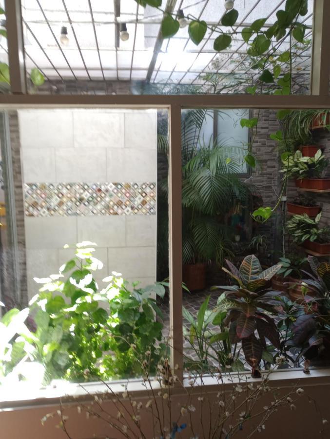 Noras Homestay Laureles メデジン エクステリア 写真